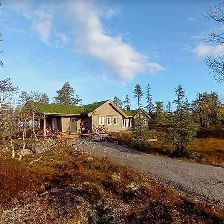 Cozy Traditional In * Veggli
