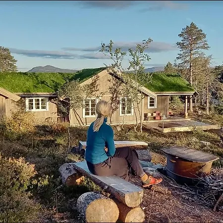 Cozy Traditional In